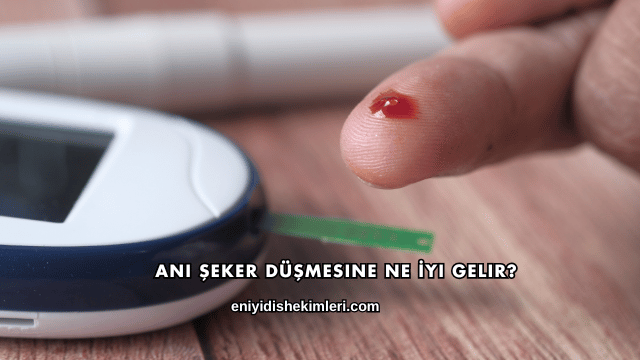 Ani Şeker Düşmesine Ne İyi Gelir?