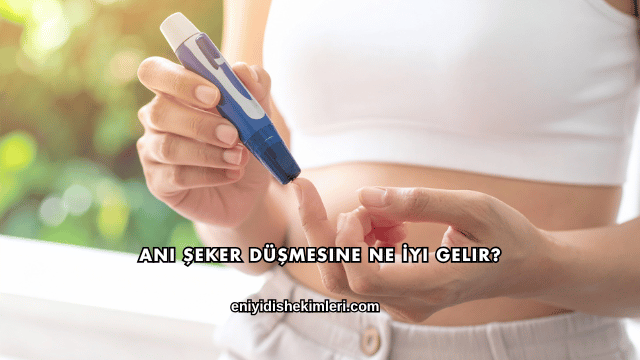 Ani Şeker Düşmesine Ne İyi Gelir?