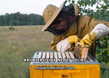 Arı Alerjisine Ne İyi Gelir?