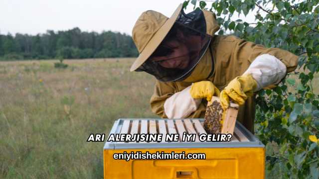 Arı Alerjisine Ne İyi Gelir?