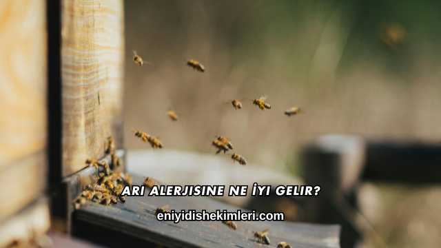 Arı Alerjisine Ne İyi Gelir?