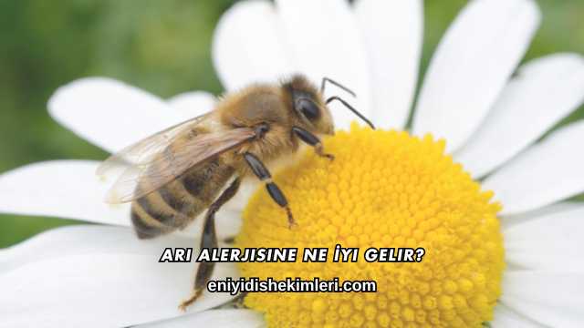 Arı Alerjisine Ne İyi Gelir?