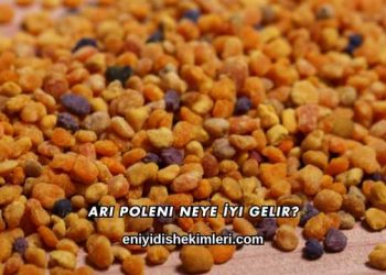 Arı Poleni Neye İyi Gelir?