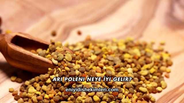 Arı Poleni Neye İyi Gelir?