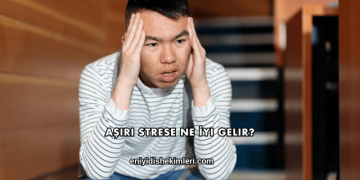Aşırı Strese Ne İyi Gelir?