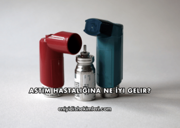 Astım Hastalığına Ne İyi Gelir?