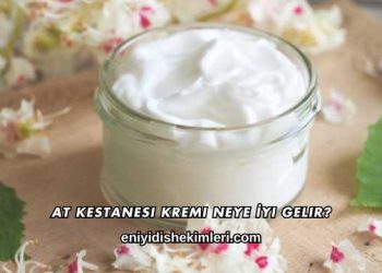 At Kestanesi Kremi Neye İyi Gelir?