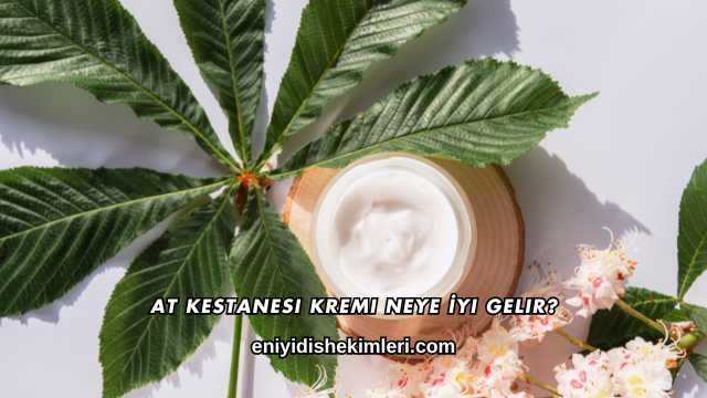 At Kestanesi Kremi Neye İyi Gelir?