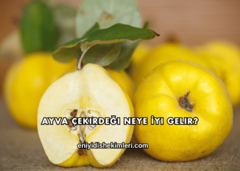 Ayva Çekirdeği Neye İyi Gelir?