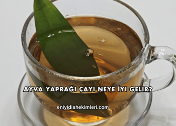 Ayva Yaprağı Çayı Neye İyi Gelir?