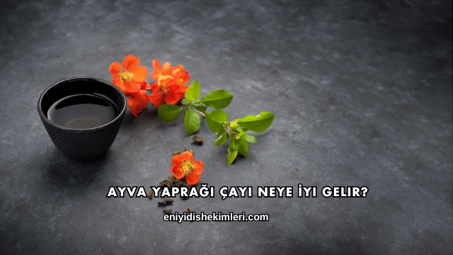 Ayva Yaprağı Çayı Neye İyi Gelir?