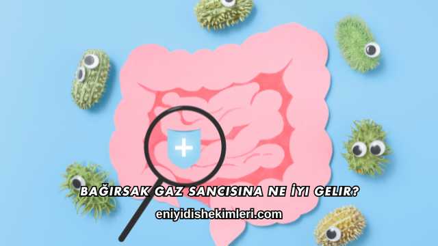 Bağırsak Gaz Sancısına Ne İyi Gelir?