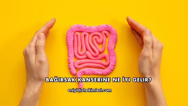 Bağırsak Kanserine Ne İyi Gelir?