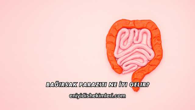 Bağırsak Paraziti Ne İyi Gelir?