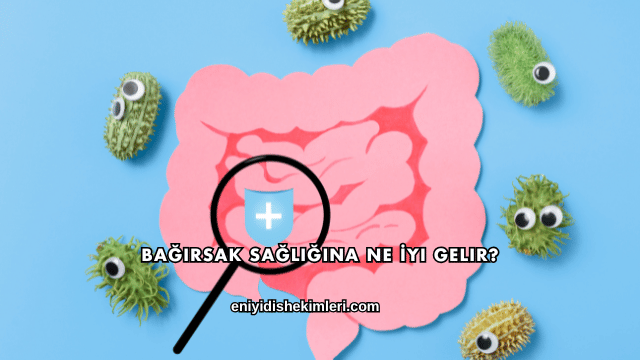 Bağırsak Sağlığına Ne İyi Gelir?