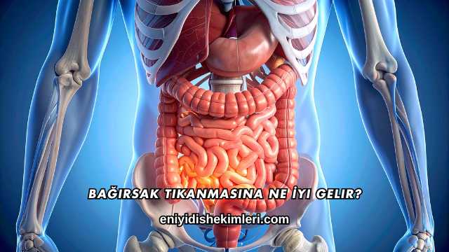 Bağırsak Tıkanmasına Ne İyi Gelir?