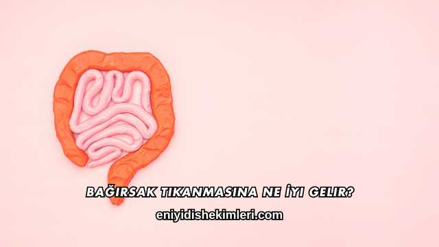 Bağırsak Tıkanmasına Ne İyi Gelir?