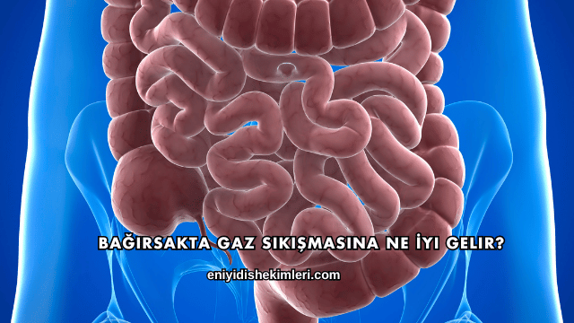 Bağırsakta Gaz Sıkışmasına Ne İyi Gelir?