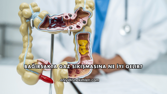 Bağırsakta Gaz Sıkışmasına Ne İyi Gelir?
