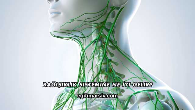 Bağışıklık Sistemine Ne İyi Gelir?