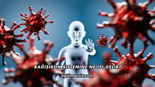 Bağışıklık Sistemine Ne İyi Gelir?