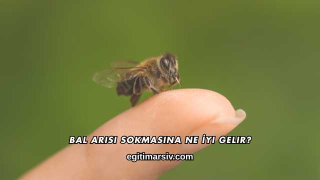 Bal Arısı Sokmasına Ne İyi Gelir?
