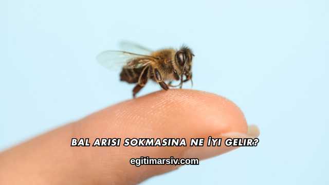 Bal Arısı Sokmasına Ne İyi Gelir?