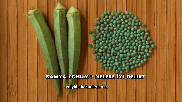 Bamya Tohumu Nelere İyi Gelir?