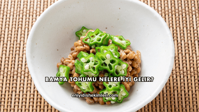 Bamya Tohumu Nelere İyi Gelir?