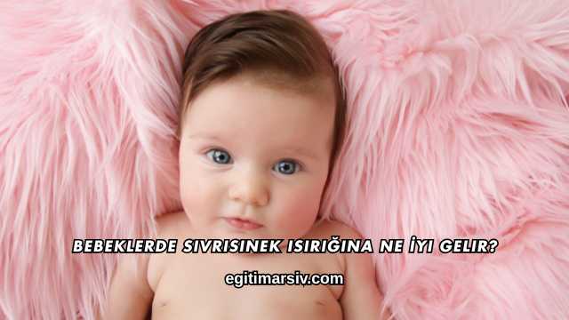 Bebeklerde Sivrisinek Isırığına Ne İyi Gelir?