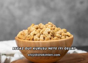 Beyaz Dut Kurusu Neye İyi Gelir?