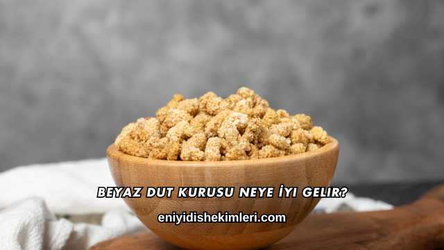 Beyaz Dut Kurusu Neye İyi Gelir?
