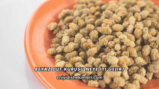 Beyaz Dut Kurusu Neye İyi Gelir?