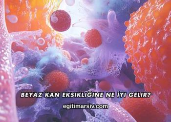 Beyaz Kan Eksikliğine Ne İyi Gelir?