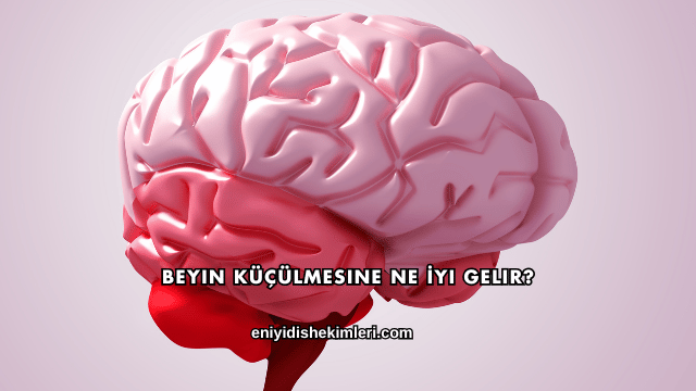 Beyin Küçülmesine Ne İyi Gelir?