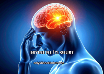 Beyine Ne İyi Gelir?