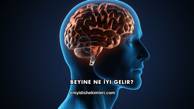 Beyine Ne İyi Gelir?