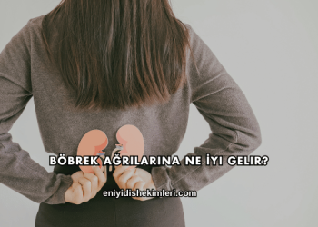 Böbrek Ağrılarına Ne İyi Gelir?