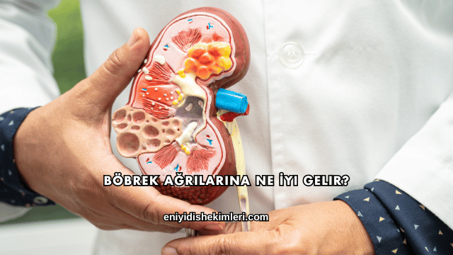 Böbrek Ağrılarına Ne İyi Gelir?