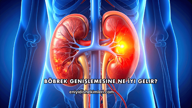 Böbrek Genişlemesine Ne İyi Gelir?