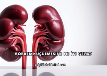 Böbrek Küçülmesine Ne İyi Gelir?
