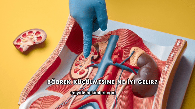 Böbrek Küçülmesine Ne İyi Gelir?