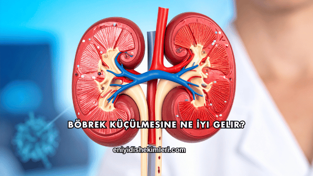 Böbrek Küçülmesine Ne İyi Gelir?
