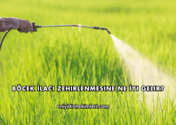 Böcek İlacı Zehirlenmesine Ne İyi Gelir?
