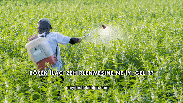 Böcek İlacı Zehirlenmesine Ne İyi Gelir?