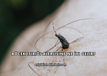 Böcek Isırığı Alerjisine Ne İyi Gelir?