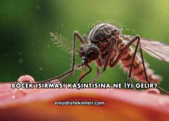 Böcek Isırması Kaşıntısına Ne İyi Gelir?