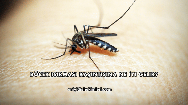 Böcek Isırması Kaşıntısına Ne İyi Gelir?