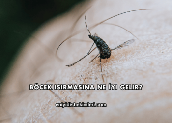 Böcek Isırmasına Ne İyi Gelir?