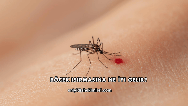 Böcek Isırmasına Ne İyi Gelir?